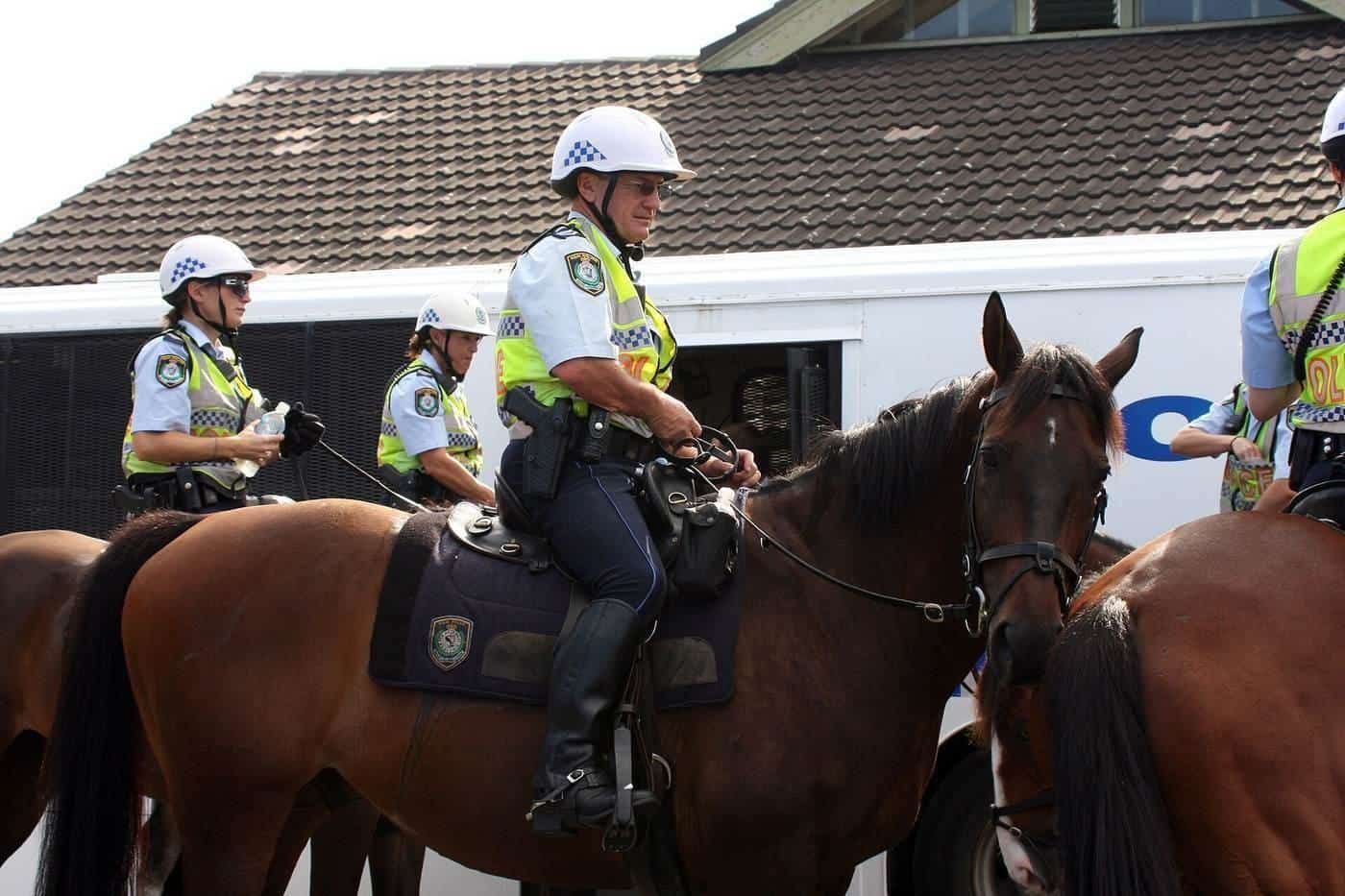 Crowds at an outdoor music festival with mounted police nearby