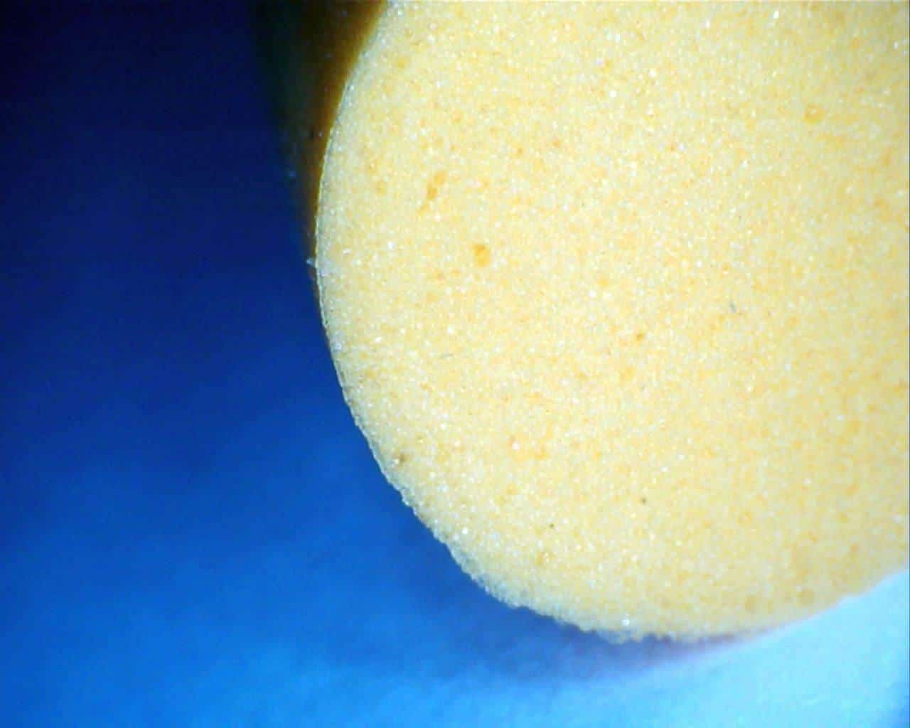 Foam earplugs on a plain surface